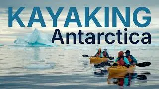 Kayaking in Antarctica: Paddle Among Icebergs & Wildlife | Aurora Expeditions