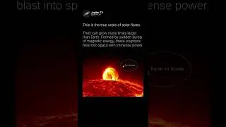 An Explosion Bigger Than the Entire Earth &ndash; Solar Flares Explained ☀️🌍 #shorts #space
