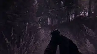 Stalker Anomaly - Dark Bark and Anomalous Grass (DBAG) | Red Forest Combat