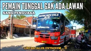 HANYA ADA SATU‼️BUS ANEKA JAYA • SANG PENGUASA DI JALUR PACITAN - SOLO • GAK ADA SAINGAN