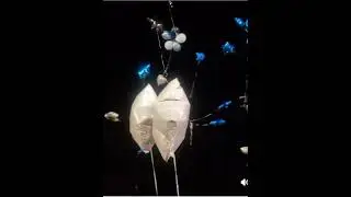 Memphis Pays Tribute 🕊️ Balloon Release for White Folkz