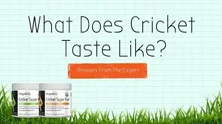 Cricket Superfuel | FAQ | What does it taste like? | Mosaic Media Films | 512-607-5533