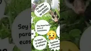 respeta mexinaco#mexico #tlacuache #memes #viral #news #edomex #fypシ #hitler