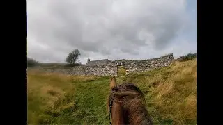 Animal blessing ride (2) 🔔 Coffin route to the Old Church