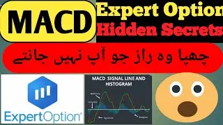 expert option winning tricks | how to use indicator in expert option macd Fareed Traders