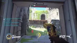 900 IQ Pine in Quick Play xd