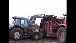 Muck spreading, Marshall rear discharge spreader.