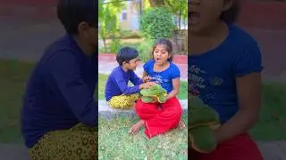 🥰 Papa ne surprise diya 🧑&zwj;🏭🤪 || kk Bhaiya family || #ytshorts #shortsfeed #shorts #trending