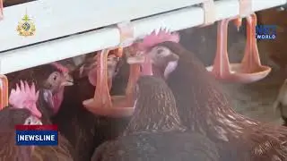 Health Officials on Alert for Bird Flu