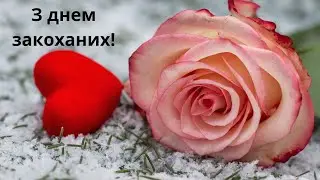 Ми з подругою вітаємо всіх з міжнародним днем  закоханих - 14 лютого ❤️