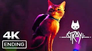 STRAY Ending PS5 4K 60FPS Ultra HD