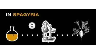(Short) What Is So Special About a Spagyric Extract?