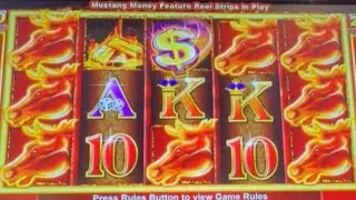 $40 Bet On Mustang Money 2 Hit Huge Jackpot #casino #slots #gambling #jackpot