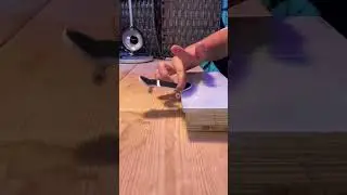 Fingerboarding edit #fingerboard #dynamicfb #duet #skater