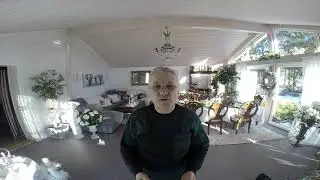 Hundens Värld Hundar som nafsar och biter