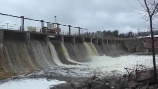 Exploring Michigan Spider, The Thunder Bay River, Hydro Dam, Cool Rocks and More