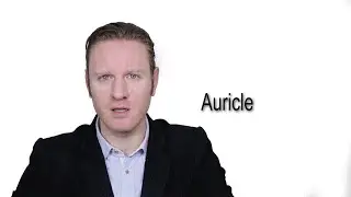 Auricle - Meaning | Pronunciation || Word Wor(l)d - Audio Video Dictionary