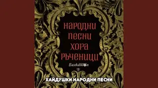Стоян и дружина