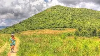 Sam Knob Hike - Blue Ridge Parkway Asheville
