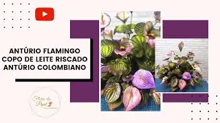 COPOS DE LEITE VARIADOS - FLORES DA PIPOL