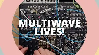 I caved and bought a MAKE NOISE Multiwave
