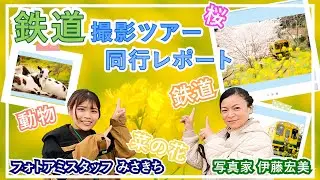 写真家・伊藤宏美さんと撮り歩く　房総の旅 いすみ鉄道・桜と菜の花・マザー牧場【撮影ツアー同行記】