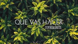 YOVNGMANOTA - QUE VAS HACER (Video Oficial)