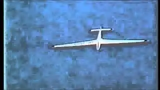 SZD-21-2B Kobuz 3 / 3rd FAI World Glider Aerobatic Championships, Hockenheim /1989