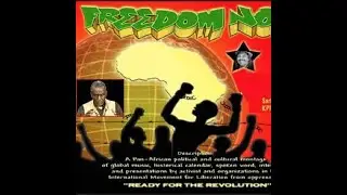 Freedom Now Gerald Horne: Alex Borucki- Slave Trade to Cuba; Jean Pfaelzer- California A Slave State