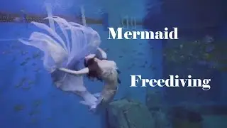 Beautiful Mermaid in the Water [Mermaid Freediving] 아름다운 인어공주의 물속의 향연 프리다이빙