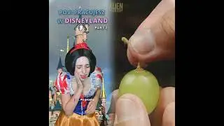 Jak myślicie praca w Disneylandzie jest fajna czy nie #dc #dlaciebie#pov#skit#acting#funny