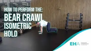 How to Perform The Bear Crawl Isometric Hold