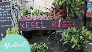 Khoollect: Meet Rebel Rebel, the London florist in bloom