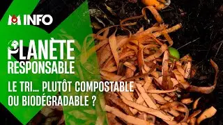 Quelle différence entre biodégradable et compostable ?