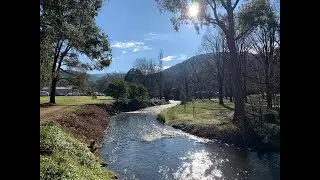 Bright Winter 2020
