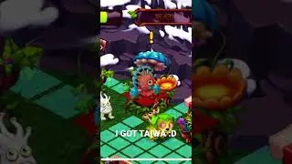 taiwa #dawnoffire #taiwa