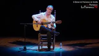 XXII Bienal de Flamenco. Sevilla 2022. José Quevedo 