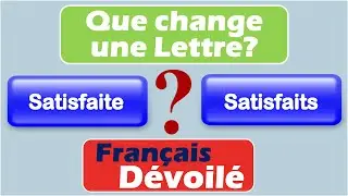 Satisfaite et Satisfaits (Une Lettre)
