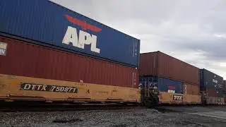 NS 238 with NS 9233 C40-9W NS 9967 C40-9W and NS 1085 SD70ACE