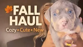 Fall Haul 🍂 | Cozy Finds, Pet Mom Picks & Cute Must-Haves