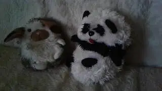 Hide away pets