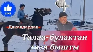 Дакан бышты балбаны жоону чону