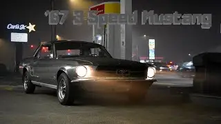 We Bought a Mustang and Immediately Took it on a Roadtrip!