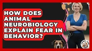 How Does Animal Neurobiology Explain Fear In Behavior? - Animal Care Jobs