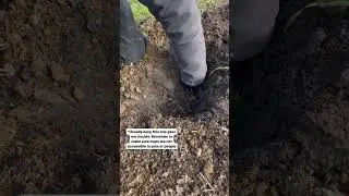 Наконец-то действенный способ удаления родинок. С любовью, папа.