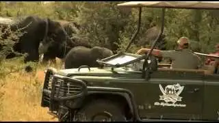 Camp Jabulani | S&uuml;dafrika Luxus-Camp und Safari