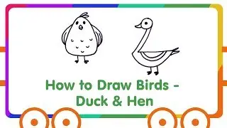 Bird Drawing - How to Draw Birds - Duck Drawing & Hen Drawing for Kids