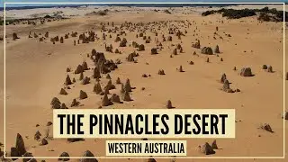 THE PINNACLES DESERT, WESTERN AUSTRALIA | AUSTRALIA 4K UHD DRONE