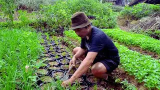 Daily activities of living in rural Indonesia during the rainy season / Villages in Central Java