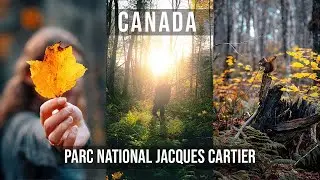 Ma 1&egrave;re Randonn&eacute;e au Qu&eacute;bec 🇨🇦